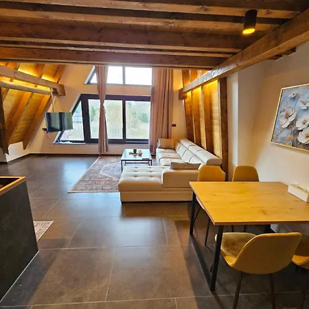 Apartment Luxury Villa Masic -Apartment Ali *